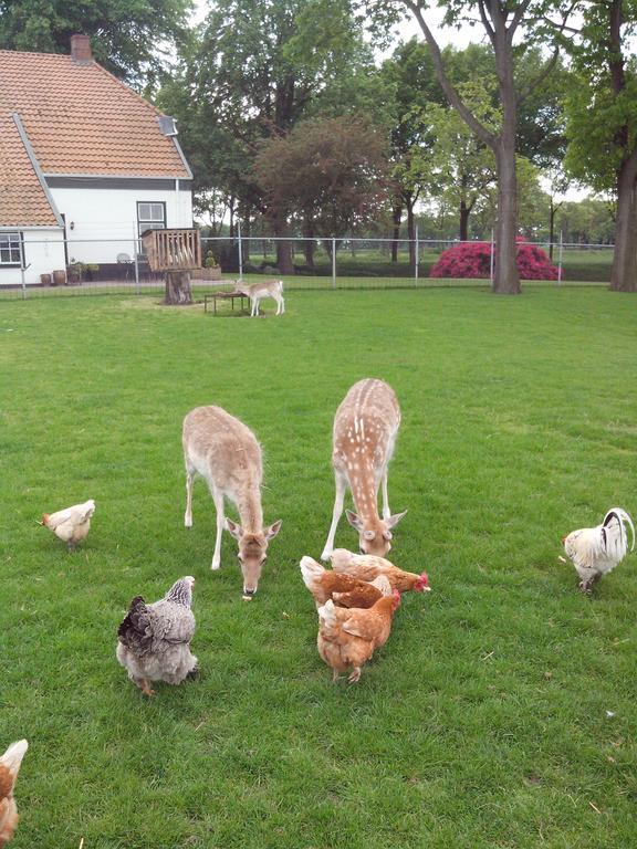 Bed En Breakfast Westerwolde Sellingen Exterior foto