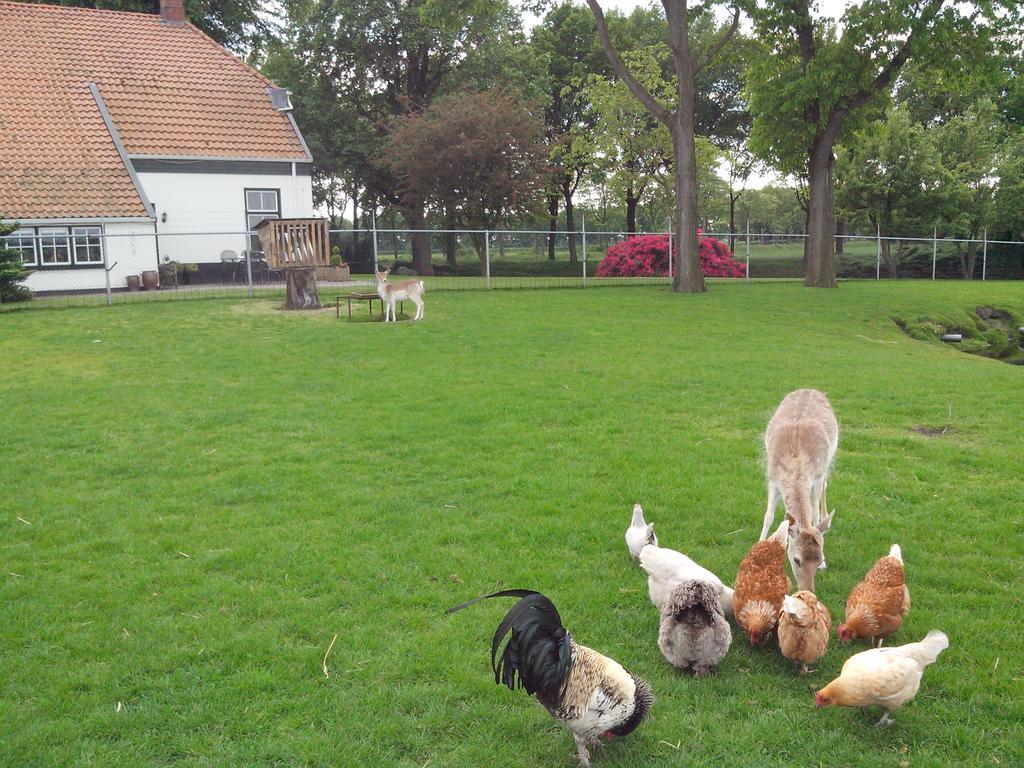 Bed En Breakfast Westerwolde Sellingen Exterior foto